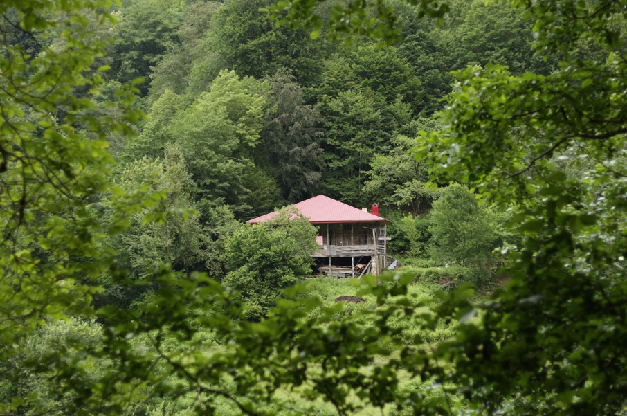 Автобусный тур в Грузию