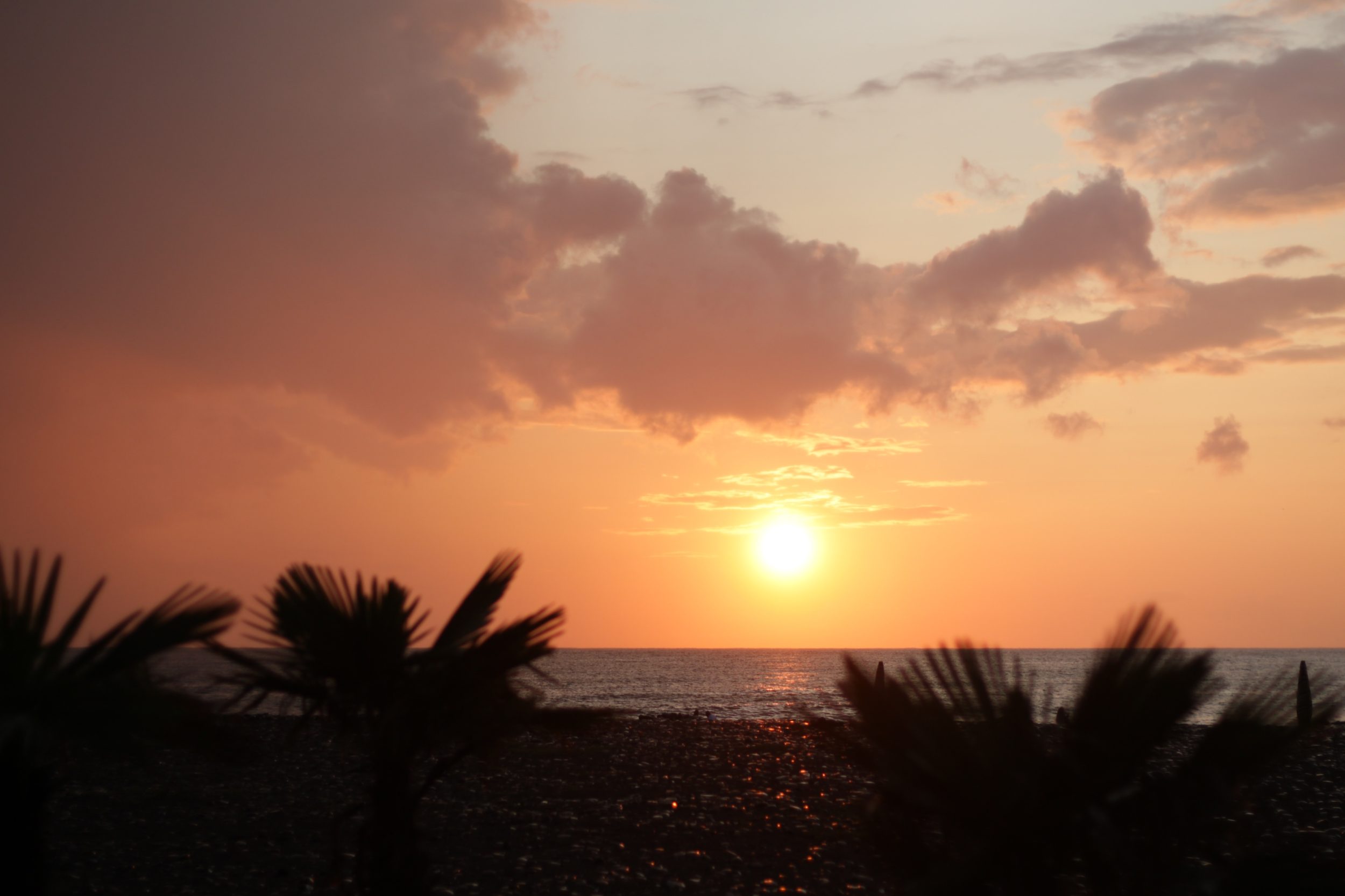 ГРУЗИЯ 2026:море зовет!