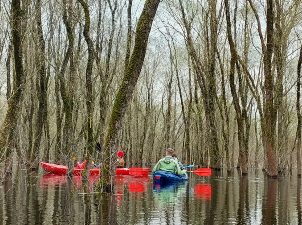 Сплав по разливам Припяти «Море Геродота»