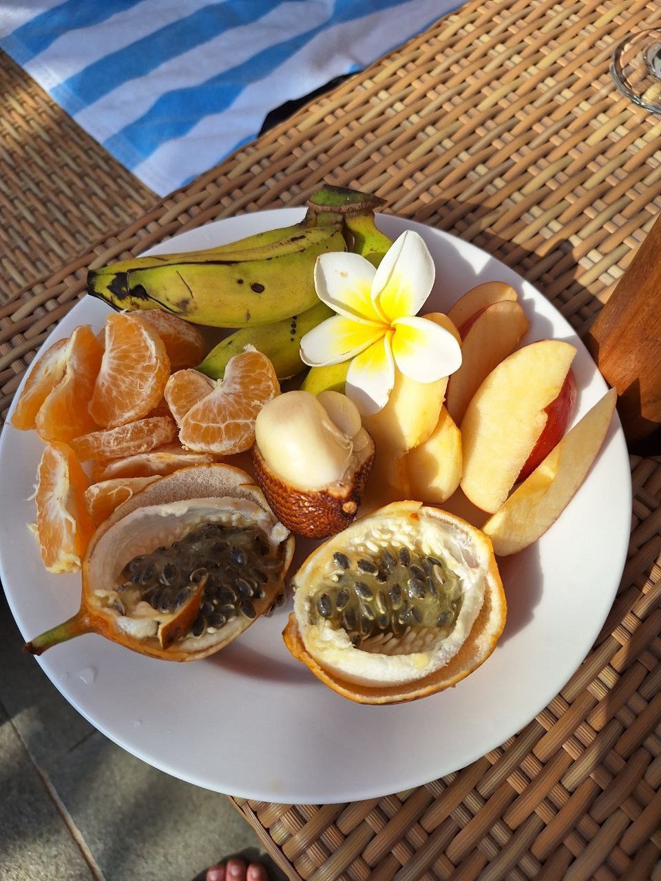 Правила перевозки фруктов на рейсах Белавиа